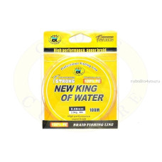 Плетенка  HEW King OF WATER PE4 ЦВЕТ 5 COLOURS LINE 100M 0.22-0,3mm