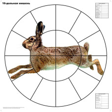 Мишень "16ти дольная ЗАЯЦ" для пристрелки гл.охот.оружия