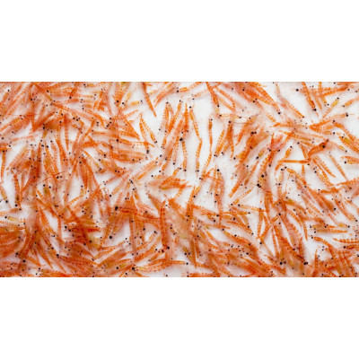 Криль Krill