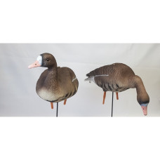 Чучело Белолобый гусь OSCAR DECOYS 10 шт (8+2) SG10