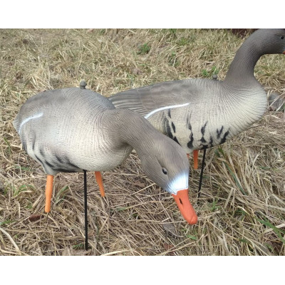 Комплект Гуменник гусь OSCAR DECOYS ELITE 3D Bean Goose  10 шт (8+2) EGG10